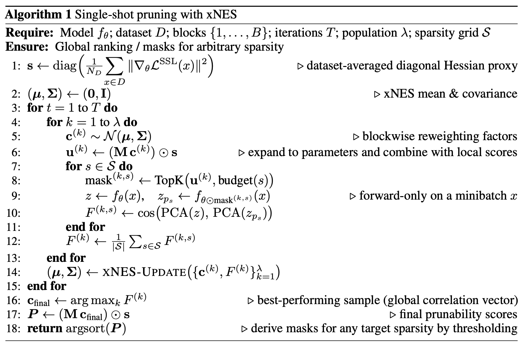 The pseudocode outlining the one-shot pruning procedure.