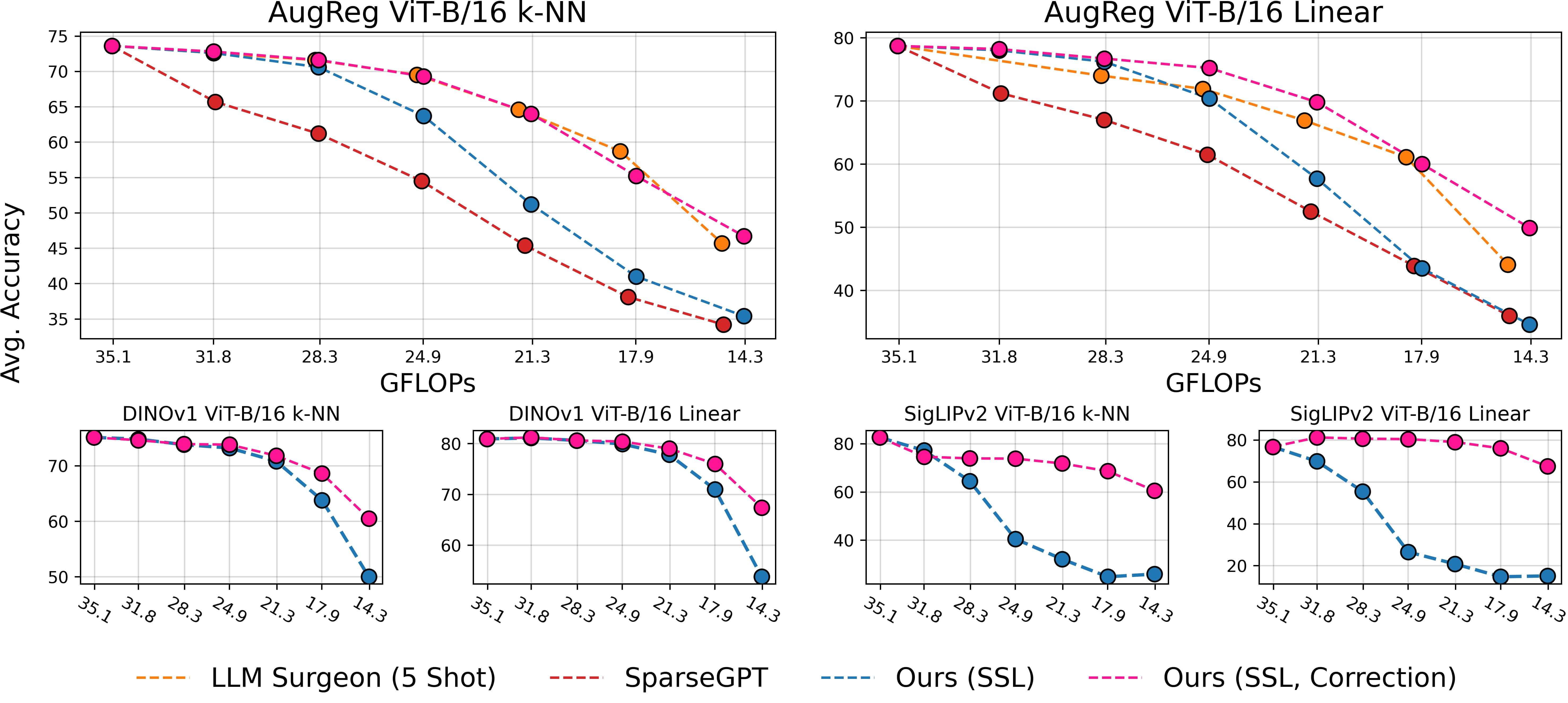 Weight correction helps preserve the post-pruning performance, improving by over 15\% over a correction-free baseline. For supervised backbones, our method matches or improves over the state-of-the-art. For self-supervised models, we largely restore performance, yielding, for example, a 50% sparse SigLIPv2 ViT-B/16 model with a negligible accuracy drop in linear classification.