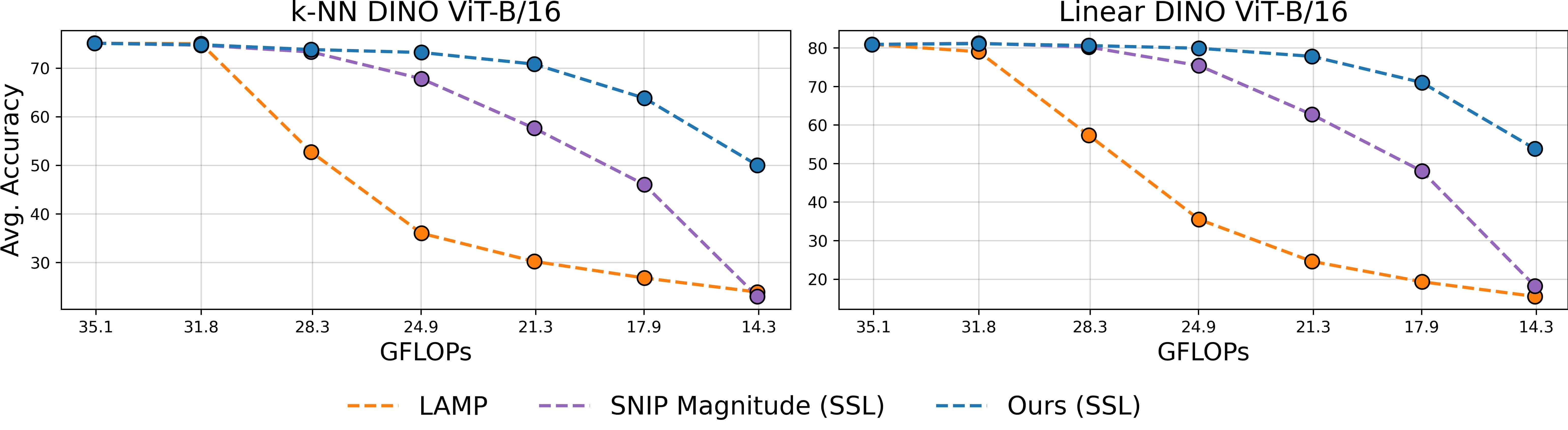 Our method yields strong sparse sub-networks from DINOv1 ViT-B/16, which perform well in both k-nearest neighbor and linear classification, degrading by under 5% at 40% sparsity.