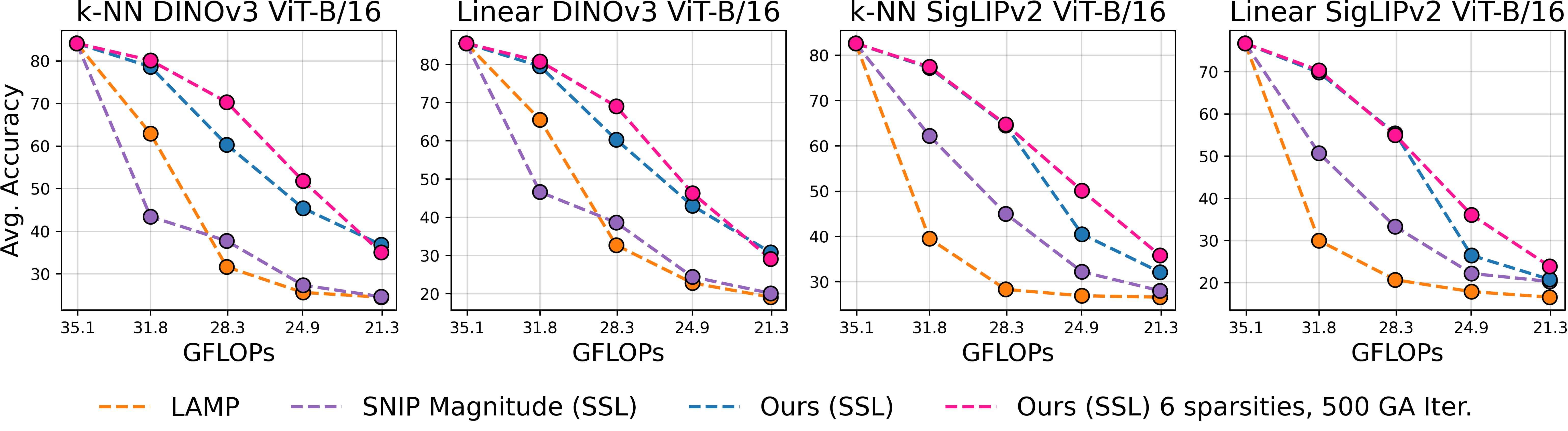 Models that undergo large-scale pretraining are harder to prune, benefit from longer optimization horizons, and are optimized for more sparsity. Nonetheless, we improve over the second-best method in linear classification by up to 21.7% and 34.3% for SigLIPv2 and DINOv3, respectively.