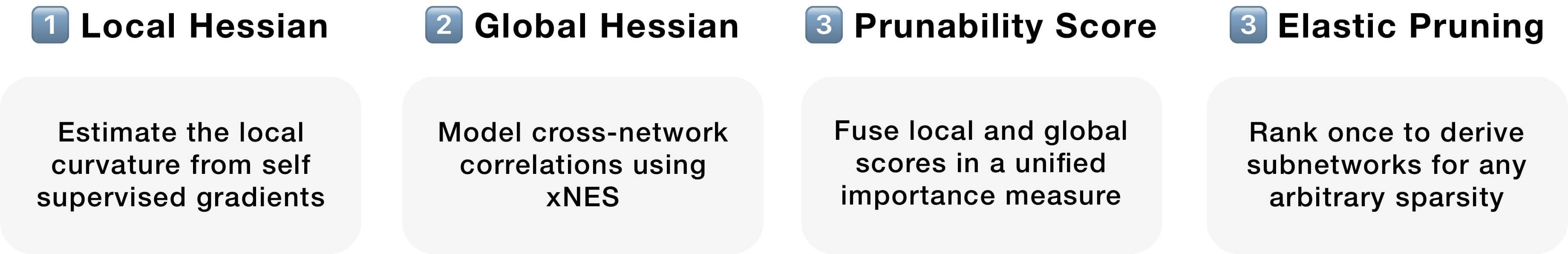 Method overview: (i) estimate the local curvature from self-supervised gradients; (ii) Model cross-network correlations using xNES; (iii) fuse local and global scores in a unified importance measure; (iv) rank once to derive subnetworks for any arbitrary sparsity
